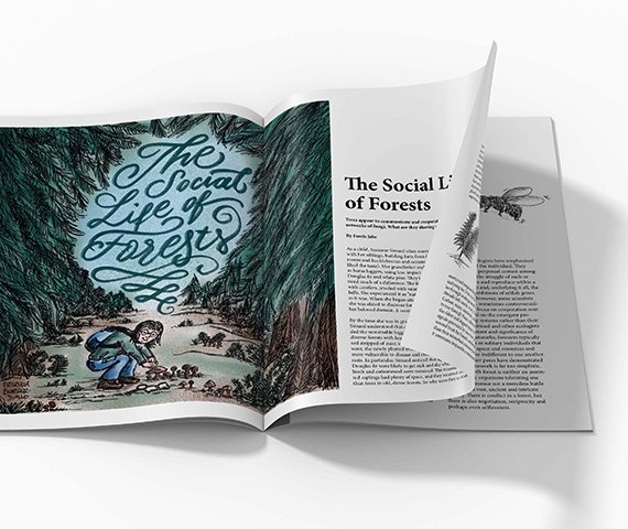 The social life of forests
